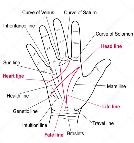 Palm Reading & Healing